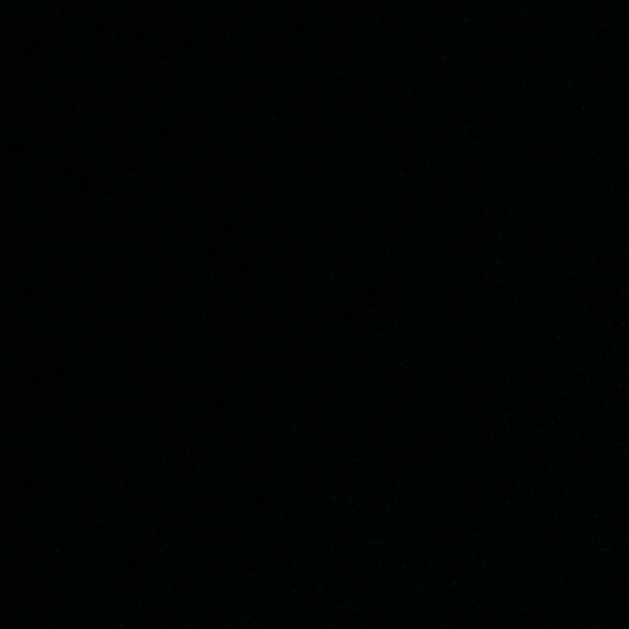 Meet your Posher, Seanne - Picture 1 of 1